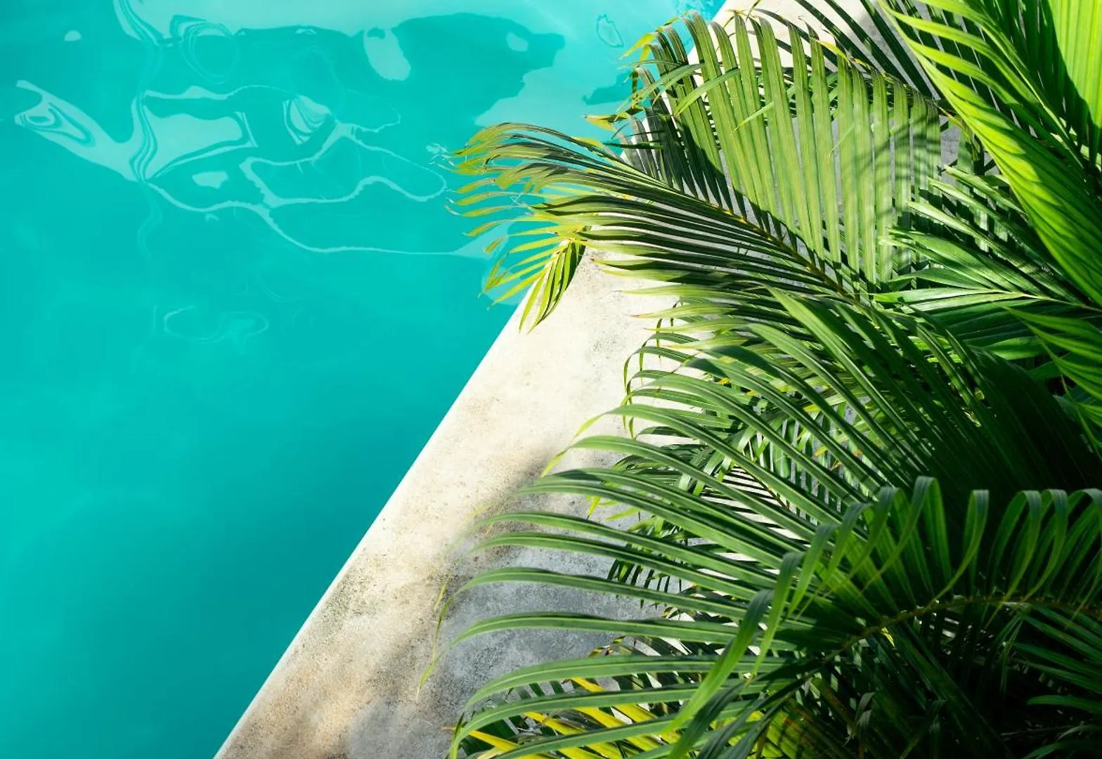 ****  Hotel Stella Maris Tulum México